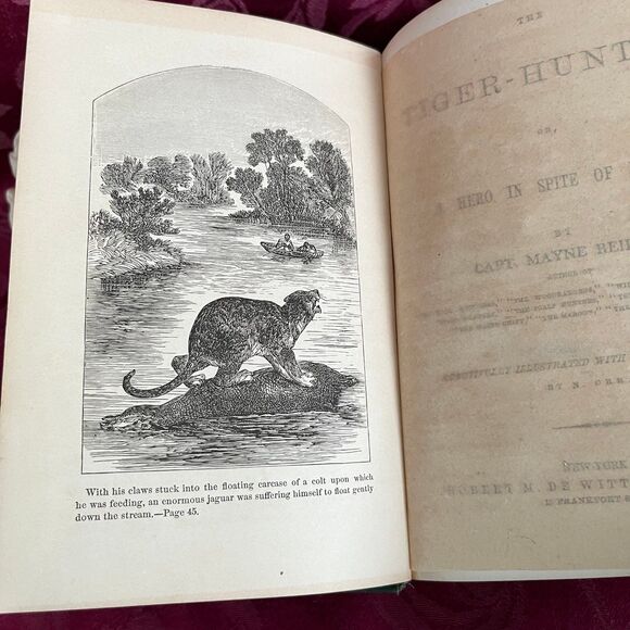 1865 The Tiger-Hunter; or, A Hero in Spite of Himself by Capt. Mayne Reid - Picture 4 of 10